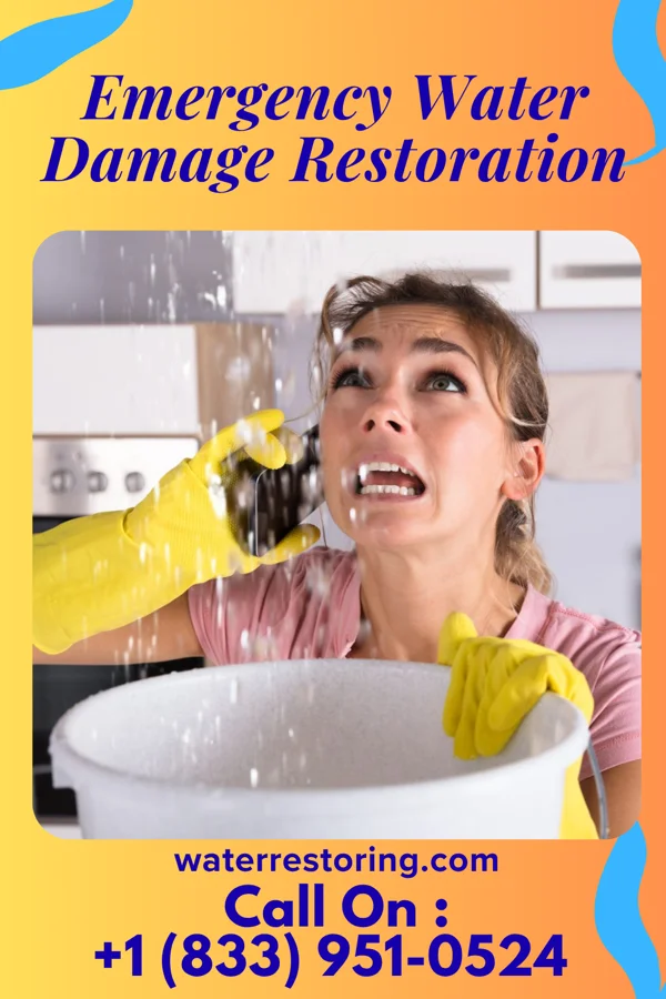 Emergency Water Damage Restoration in New Melle, MO